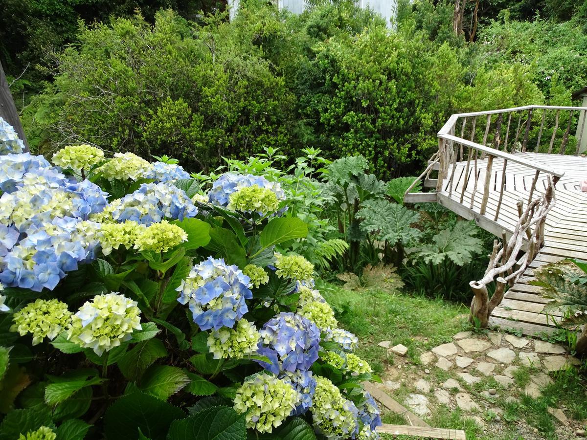 Cabanas Las Hortensias Hotel Niebla Buitenkant foto